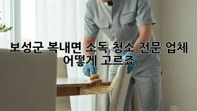 보성군 복내면 소독 청소 전문 업체, 어떻게 고르죠?