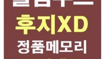 📸 인생샷 보장! XD-Picture 솔직 후기 & 꿀팁 대방출! (할인정보有)