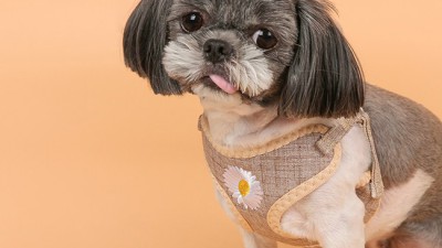 🧶 산네스간 패턴북 후기: 득템 찬스! 놓치면 후회?! 😉